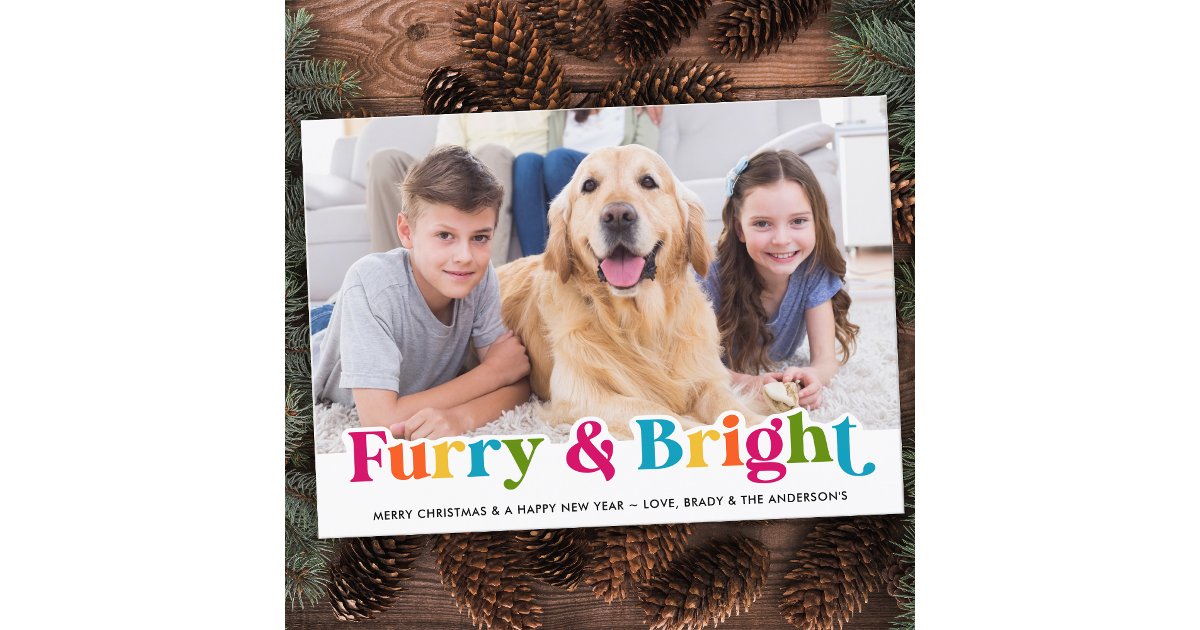 Colorful Furry & Bright Custom Pet Dog Photo Holiday Card | Zazzle
