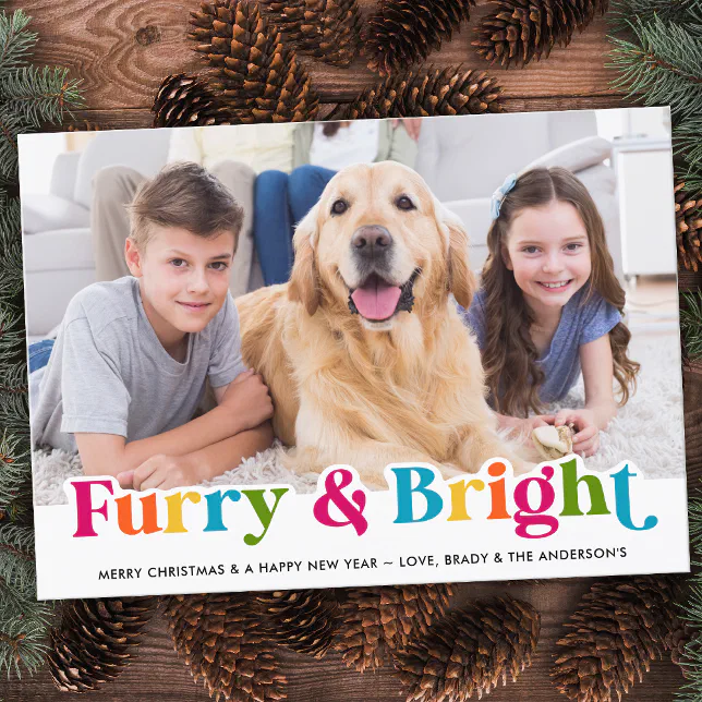 Colorful Furry & Bright Custom Pet Dog Photo Holiday Card | Zazzle