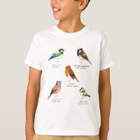Colorful garden birds