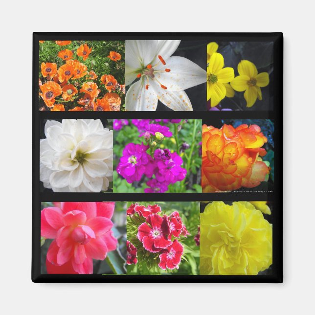 colorful garden flowers magnet (Front)