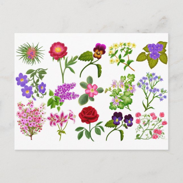 Colorful Garden Flowers Pocket Calendar Postcard (Front)