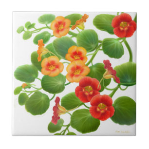 Colorful Garden Nasturtium Flowers Tile