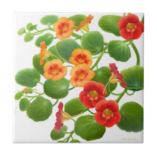 Colorful Garden Nasturtium Flowers Tile (Front)
