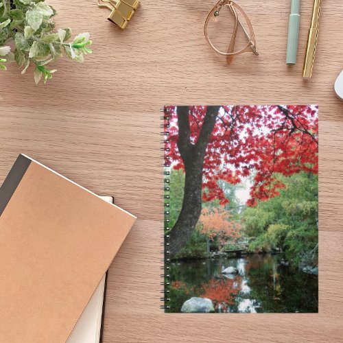 Colorful Garden Pond Seasonal Landscape Notebook