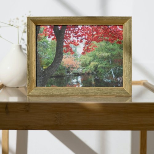 Colorful Garden Pond Seasonal Landscape Photo Print