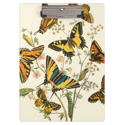 Colorful Gathering of Butterflies and Caterpillars Clipboard