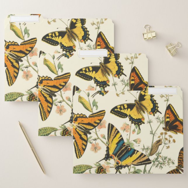 Colorful Gathering of Butterflies and Caterpillars File Folder (Set)