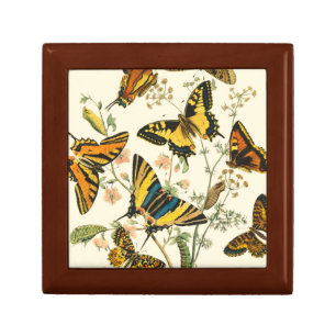 Colorful Gathering of Butterflies and Caterpillars Keepsake Box