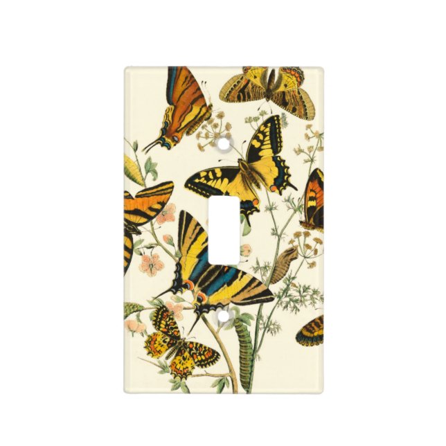 Colorful Gathering of Butterflies and Caterpillars Light Switch Cover (Front)
