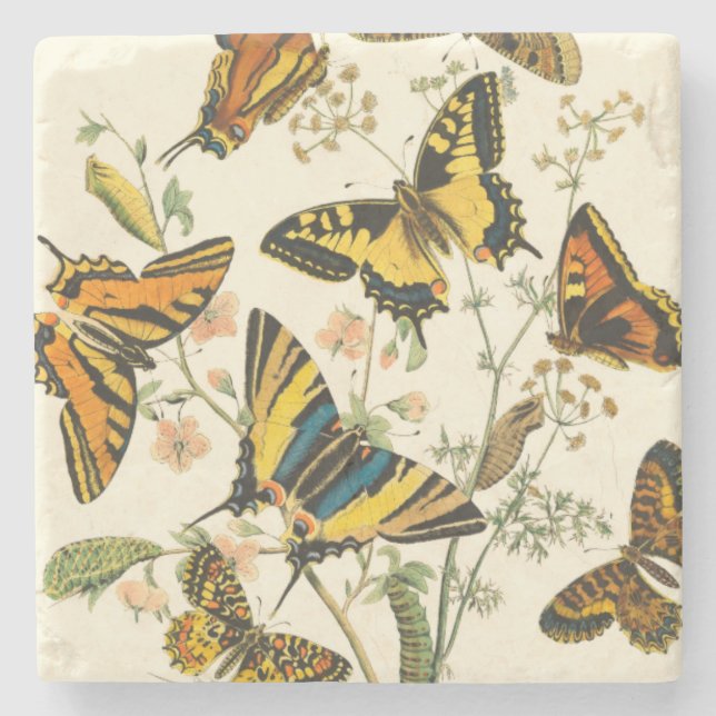 Colorful Gathering of Butterflies and Caterpillars Stone Coaster (Front)