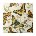 Colorful Gathering of Butterflies and Caterpillars Tile<br><div class="desc">How much more colorful can you get? This gathering of butterflies and caterpillars pops with pigment,  assaulting the eyes with beauty. Get your print today!</div>