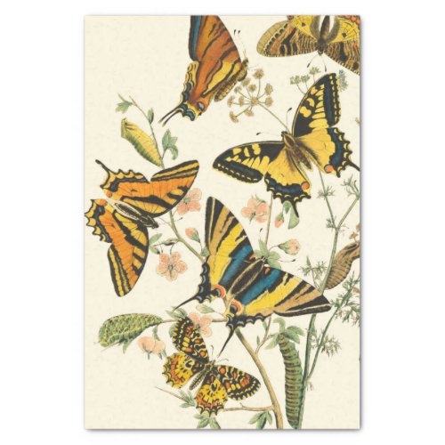 Colorful Gathering of Butterflies and Caterpillars Tissue Paper