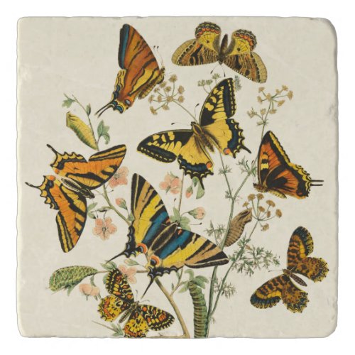 Colorful Gathering of Butterflies and Caterpillars Trivet