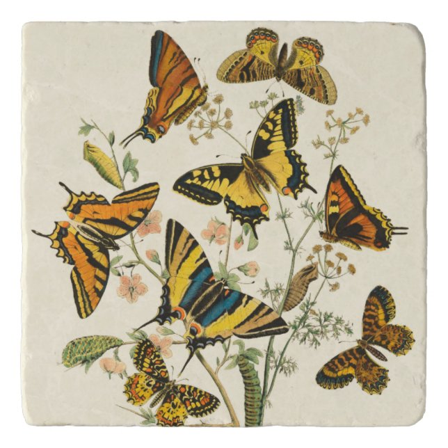 Colorful Gathering of Butterflies and Caterpillars Trivet (Front)