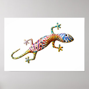 Colorful gekko lizard poster