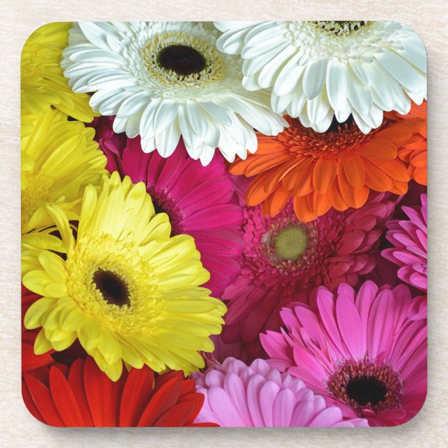 Colorful gerber flowers beverage coaster (Front)
