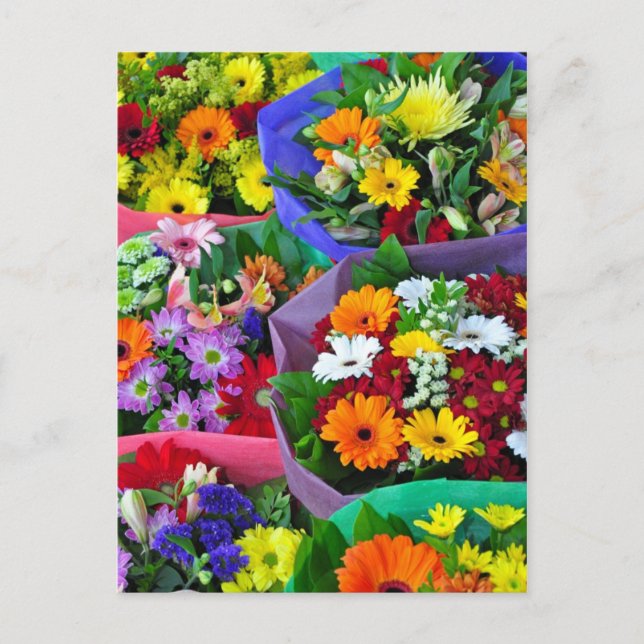 Colorful gerber flowers print postcard (Front)