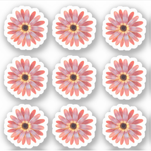  Colorful Gerbera Daisy Floral Sticker (Front)