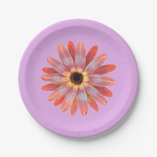 Colorful Gerbera Daisy Paper Plate