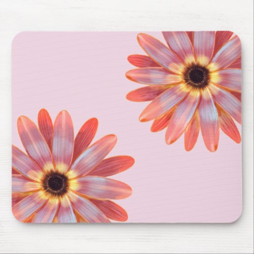Colorful Gerbere Daisy Floral Mouse Pad
