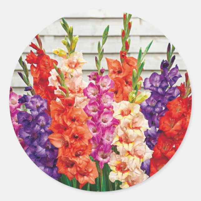 Colorful Gladiolas Envelope Seal Sticker (Front)