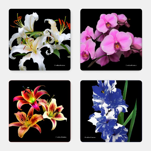 Colorful Gladioluses Lilies Orchids Flowers Coaster Set (Set)