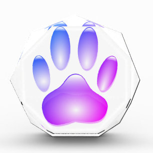 Colorful Glass Dog Paw Print Acrylic Award