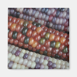 Colorful Glass Gem Corn on the Cob Magnet