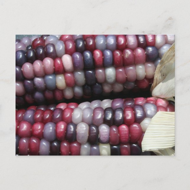 Colorful Glass Gem Corn. Postcard (Front)