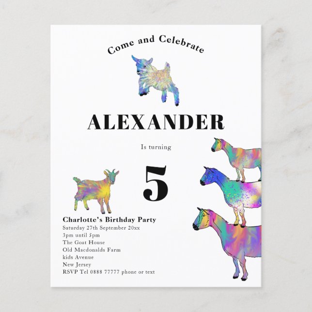 Colorful Goat Birthday Party Budget Flyer (Front)
