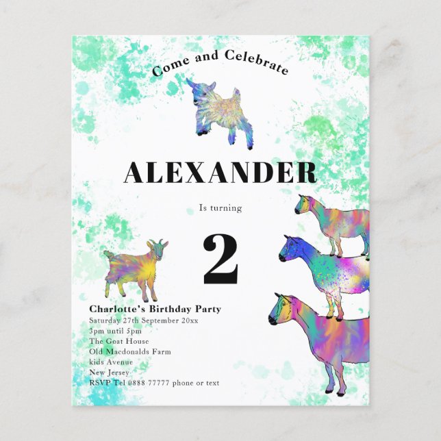 Colorful Goats Birthday Party Budget Flyer (Front)