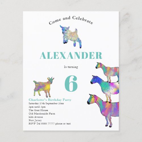 Colorful Goats Birthday Party Budget Flyer