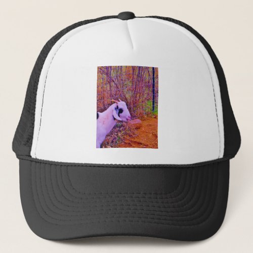 Colorful Goats Trucker Hat