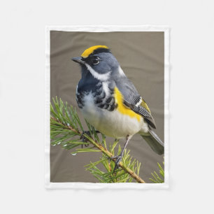Colorful Gold-Crowned Bird on Pine Branch Fleece B Blanket