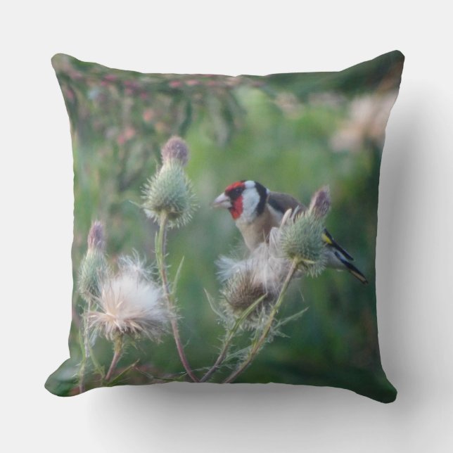 Colorful Goldfinch on Thistle Throw Pillow (Front)