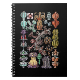 Colorful Gorgonide Sea Coral and Sponges Notebook