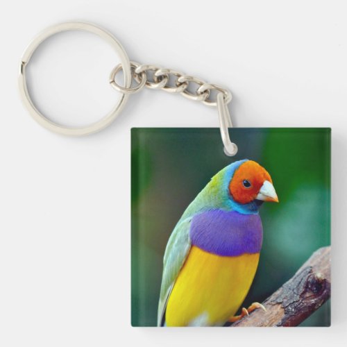 Colorful gouldian finch keychain