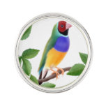 Colorful Gouldian Finch Lapel Pin