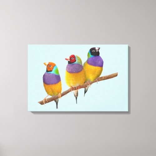 Colorful Gouldian Finches in Pastels Canvas Print