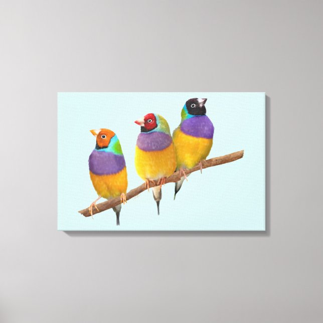 Colorful Gouldian Finches in Pastels Canvas Print (Front)