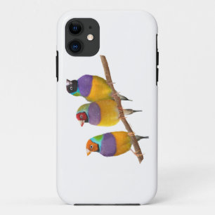 Colorful Gouldian Finches in Pastels iPhone 11 Case
