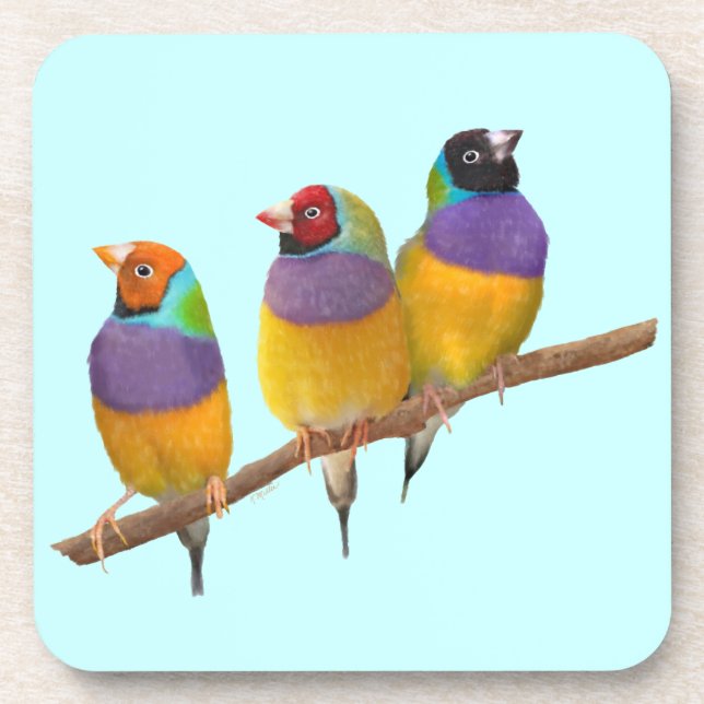 Colorful Gouldian Finches in Pastels Coaster (Front)