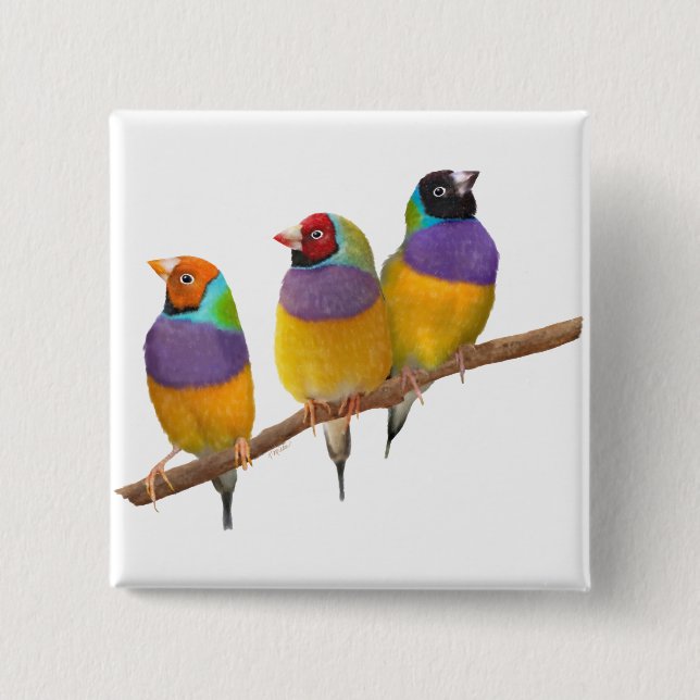 Colorful Gouldian Finches in Pastels Pinback Button (Front)