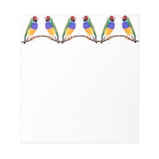Colorful Gouldian Finches Notepad