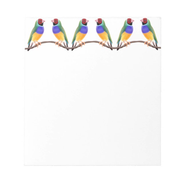 Colorful Gouldian Finches Notepad (Front)