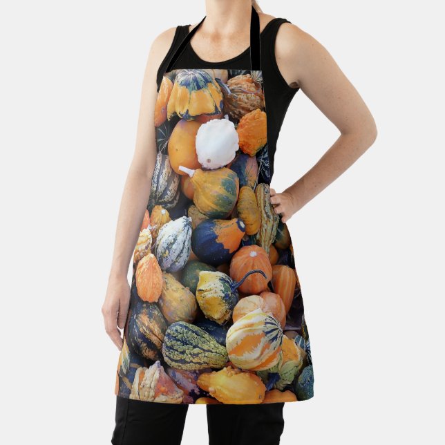 Colorful Gourds A  Apron (Insitu)