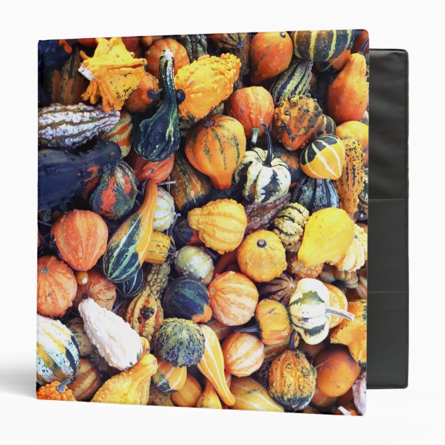 Colorful Gourds C  3 Ring Binder (Front/Inside)