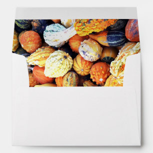 Colorful Gourds C Envelope