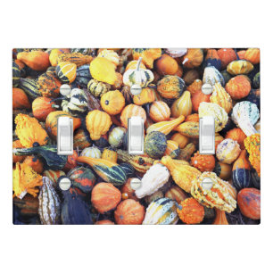 Colorful Gourds C Light Switch Cover