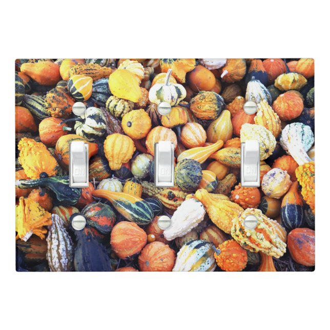 Colorful Gourds C  Light Switch Cover (In Situ)